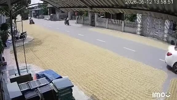 No matter how sympathetic the situation, drying rice on roads is unacceptable