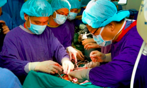 Organ donations from brain-dead individuals increased 4-fold in three years