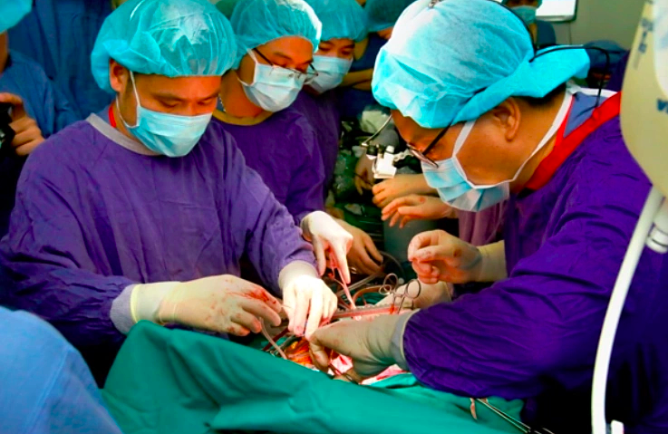 Organ donations from brain-dead individuals increased 4-fold in three years