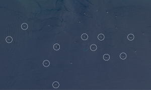 Satellite images reveal Iran's fleet of ships used as oil storage