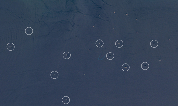 Satellite images reveal Iran's fleet of ships used as oil storage