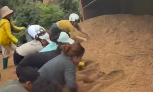 Sand truck overturns, burying passerby to death