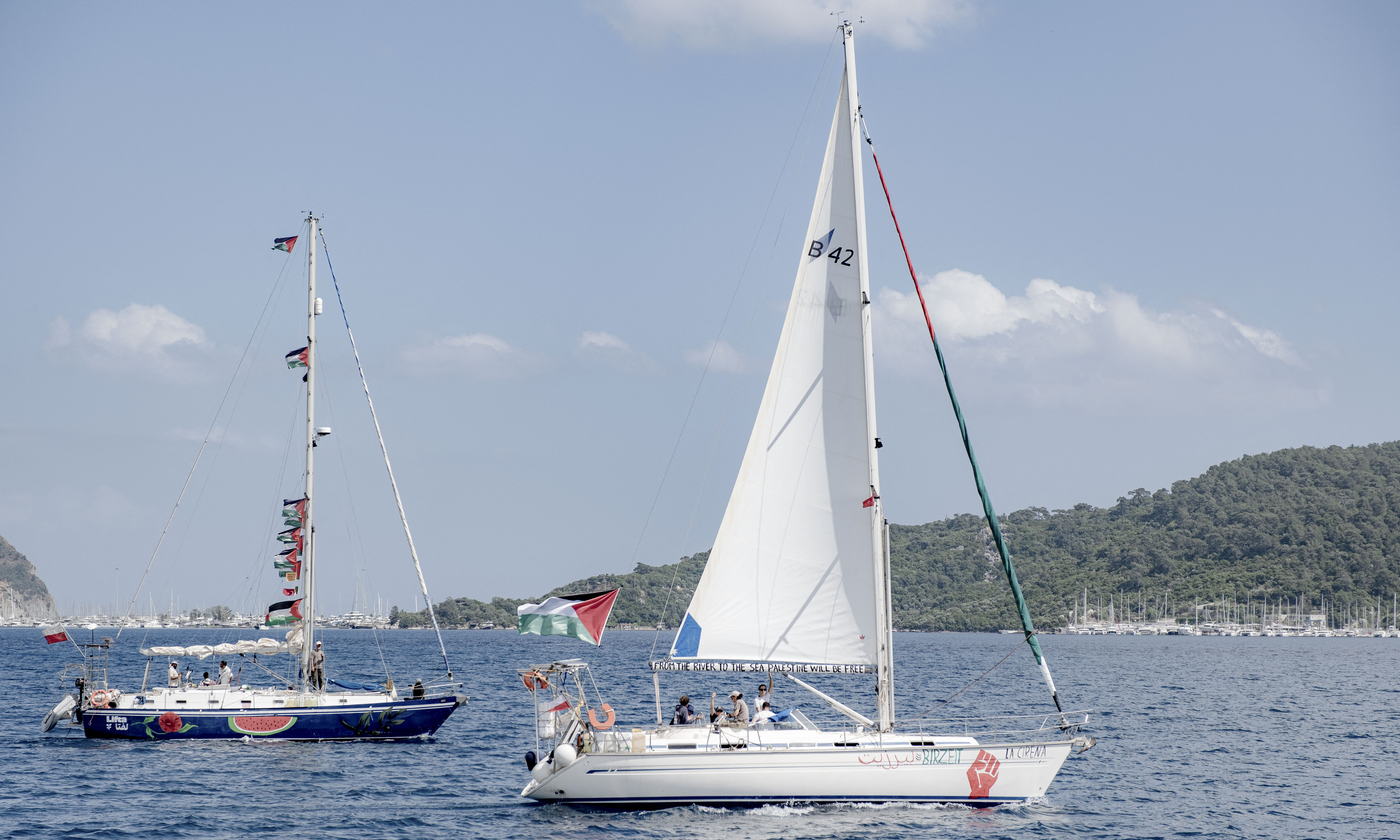 Vietnamese citizen detained by Israel while participating in flotilla to Gaza