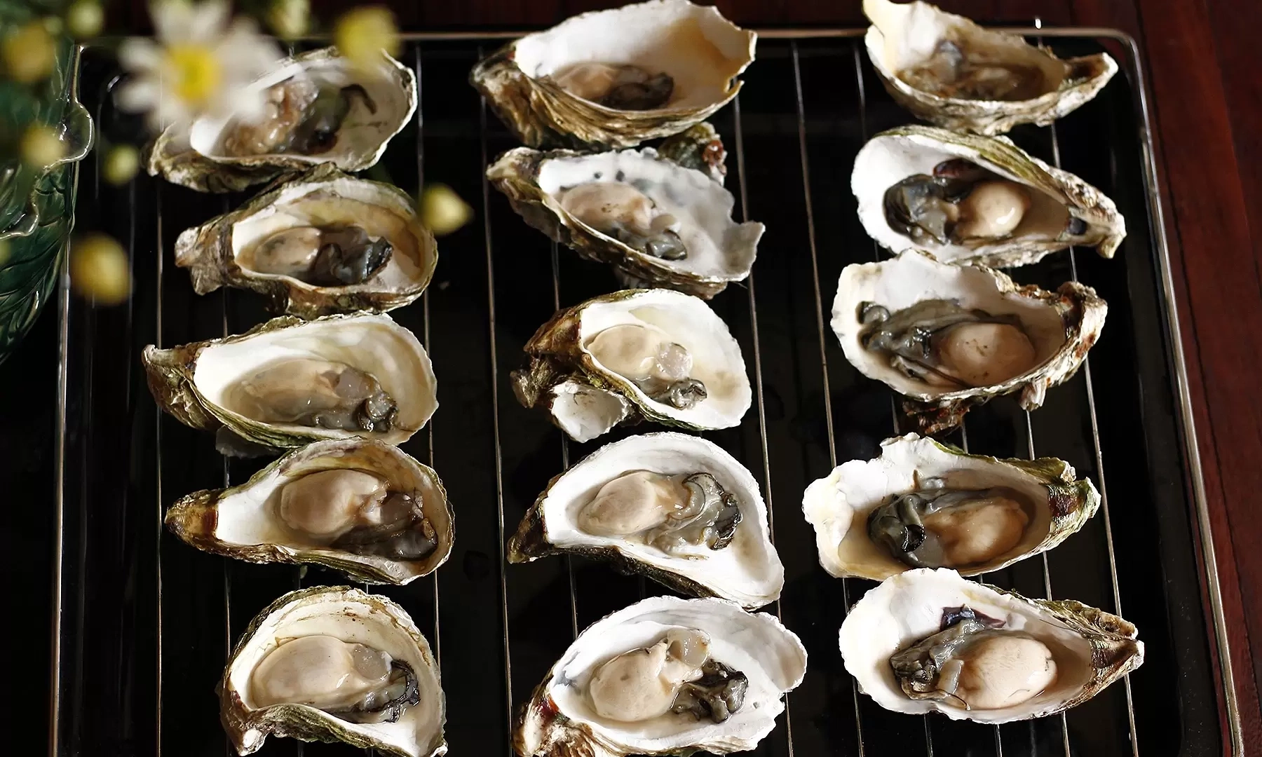 Eating oysters to conceive a boy?