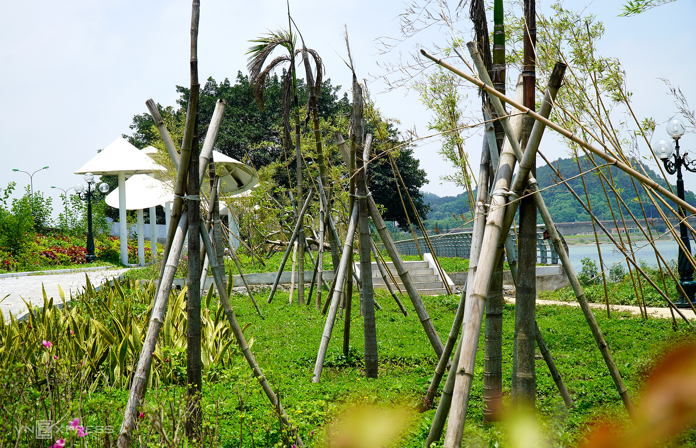 Mass tree deaths at memorial park for 64 teachers and students