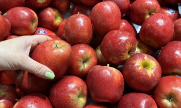 5 fruits that help prevent colorectal cancer