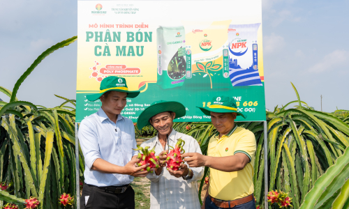 PVCFC gifts to farmers purchasing Ca Mau fertilizer
