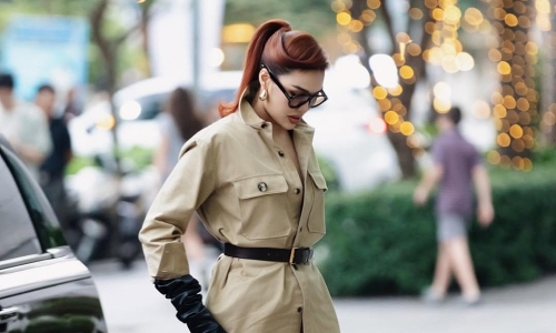 Vietnamese stars embrace CEO chic