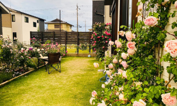 The rose house of a Vietnamese woman in Japan