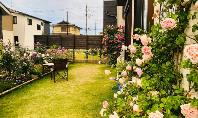 The rose house of a Vietnamese woman in Japan