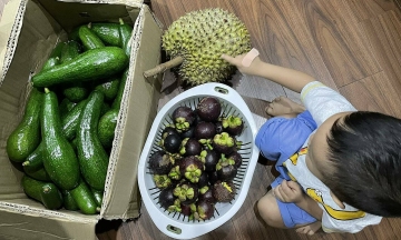 Tips for eating fruit without raising blood sugar