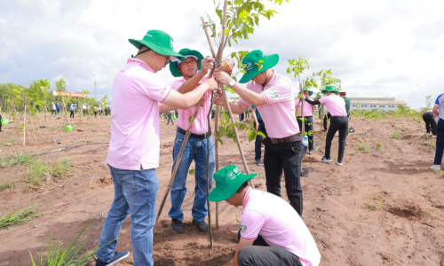 C.P. Vietnam supports planting over 100,000 trees