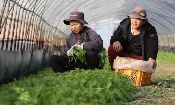 Ibaraki Prefecture Offers Rewards for Reporting Illegal Foreign Worker Employers