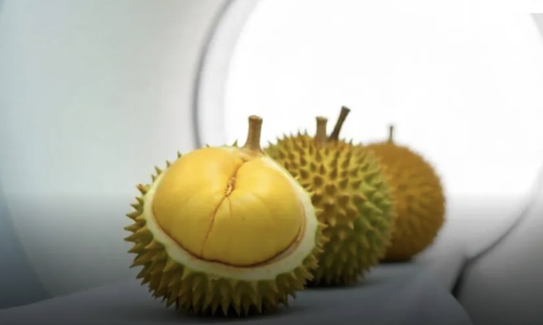 Thailand uses CT-scan and AI to tighten durian export quality