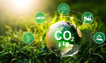 Forest carbon credits: only traded via contracts or exchanges