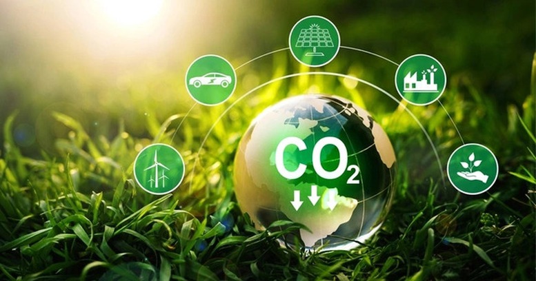 Forest carbon credits: only traded via contracts or exchanges