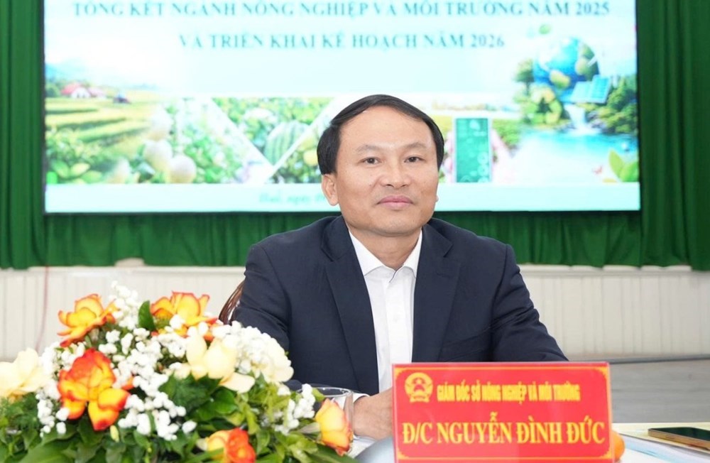 Director of Hue City Department of Agriculture and Environment reprimanded