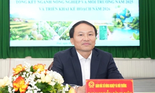 Director of Hue City Department of Agriculture and Environment reprimanded