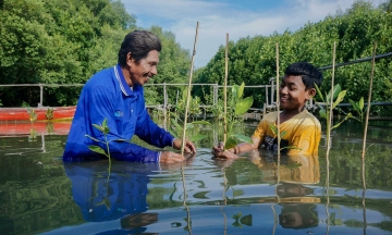 How is blue carbon integrated into global climate strategies?
