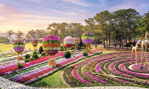 A series of nature experiences at TTC World - Valley of Love