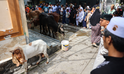 Cham Muslims in Ho Chi Minh City celebrate new year with cattle and sheep sacrifices