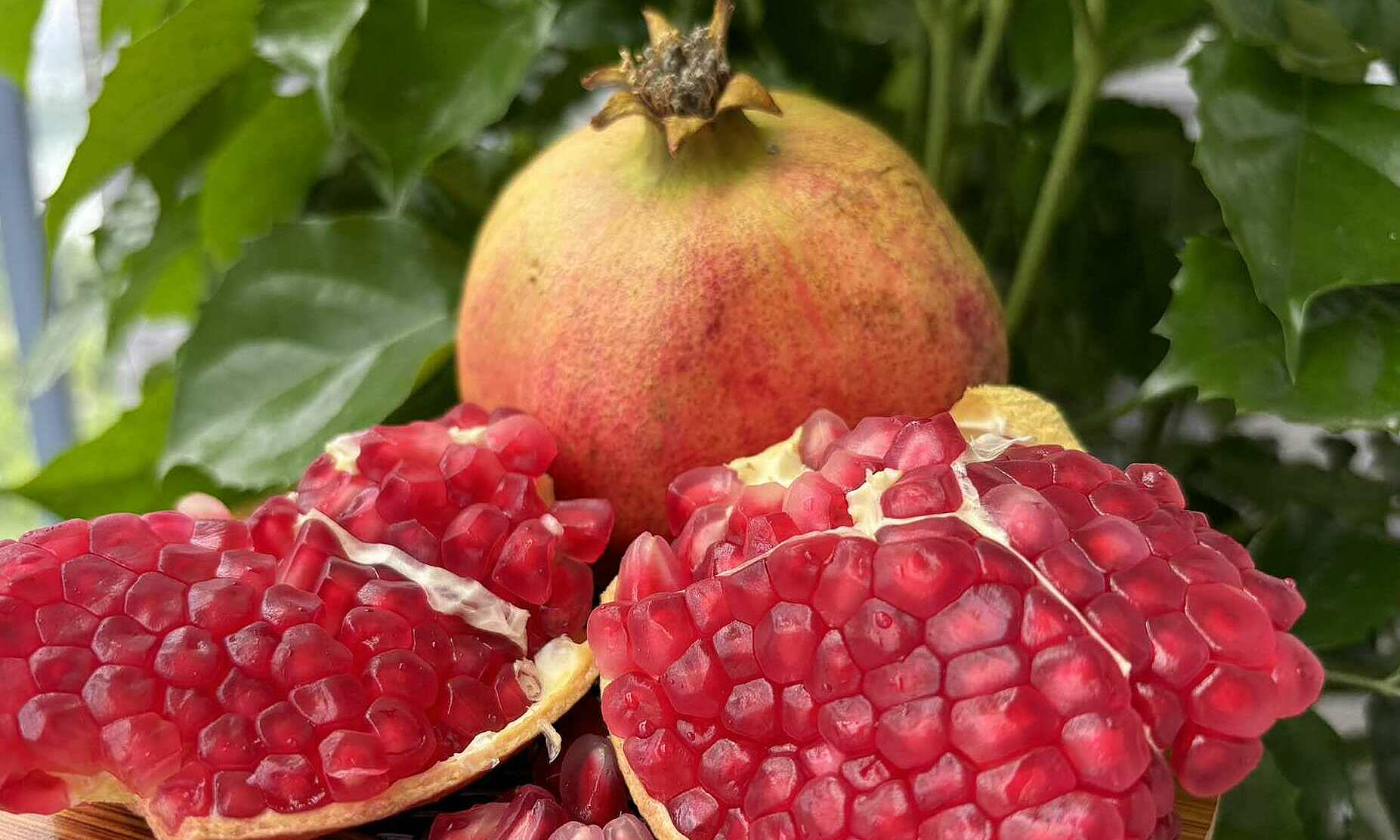 How to control blood sugar on hot days