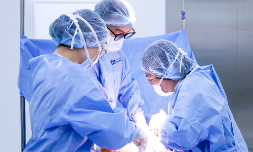 Fetus with duodenal stenosis safely delivered