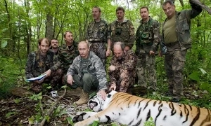 Putin donates 4 tigers to Kazakhstan