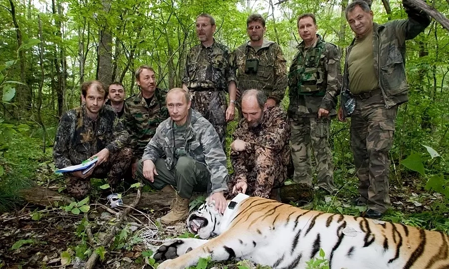 Putin donates 4 tigers to Kazakhstan