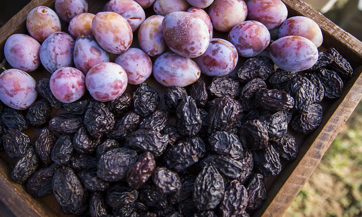 California prunes support improved digestive health