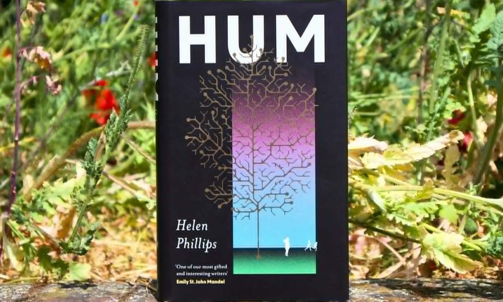 Book explores future of humanity monitored by algorithms