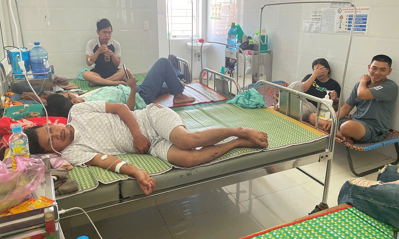 7 samples test positive for salmonella bacteria in Quy Nhon bread poisoning incident