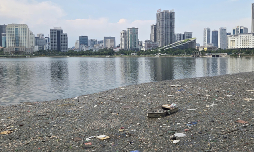 Mass fish deaths in a corner of Hanoi's regulating lake