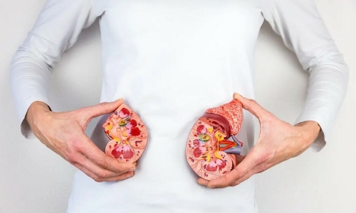 10 common lifestyle habits silently damaging kidneys