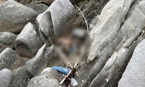 Human skeleton found trapped on coastal rocks in Cam Ranh