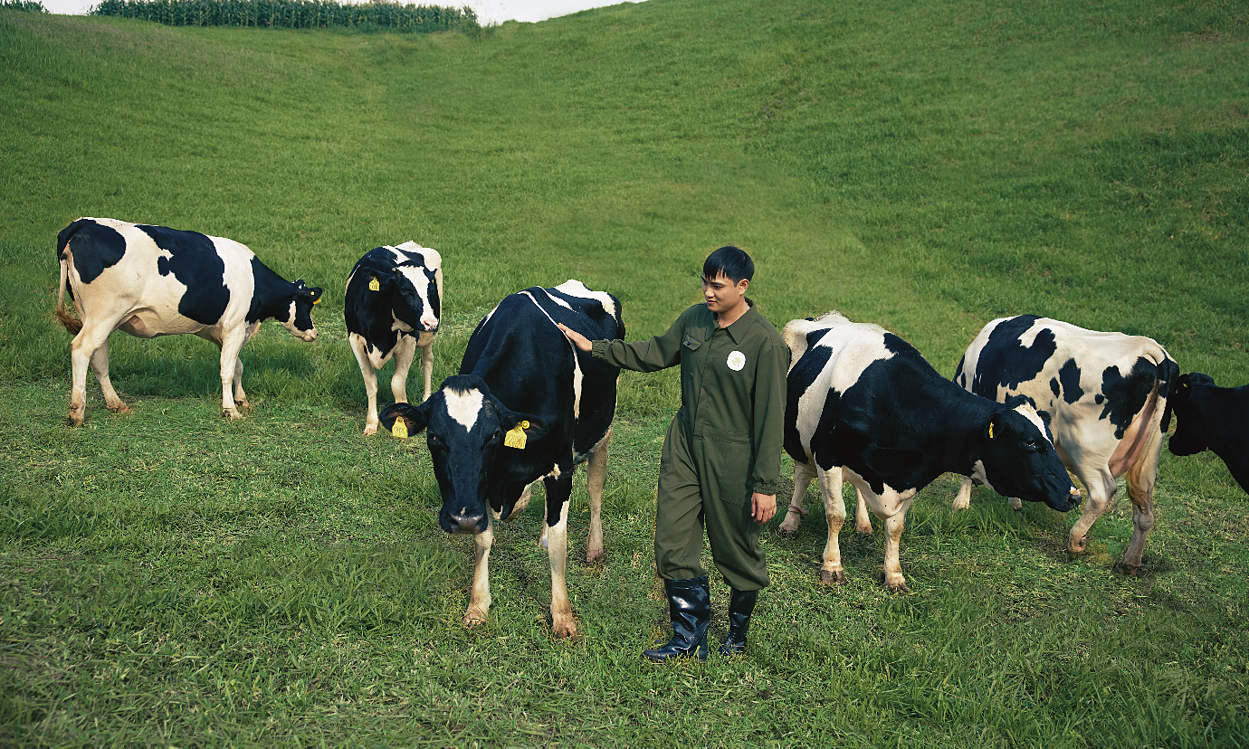 Moc Chau Creamery earns US pure safety certification