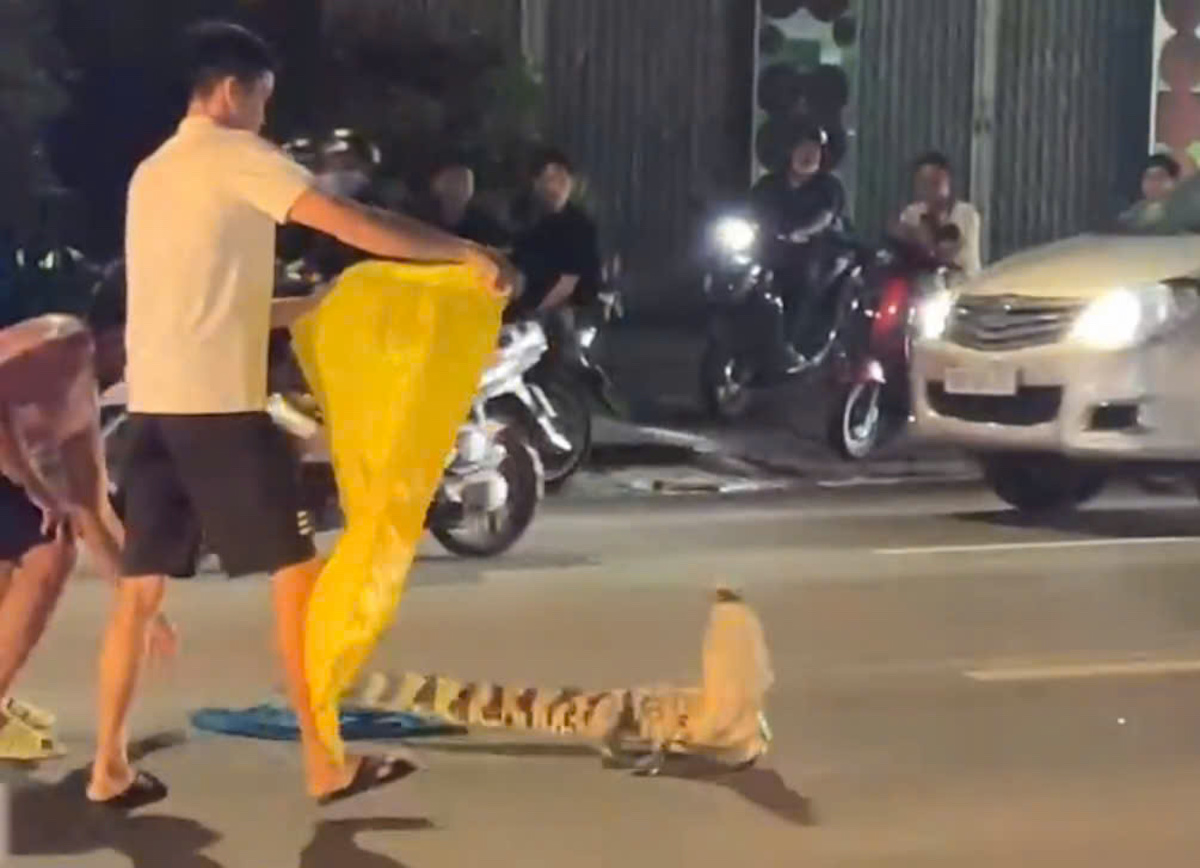 Residents capture crocodile on national highway