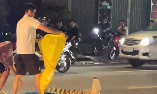 Residents capture crocodile on national highway