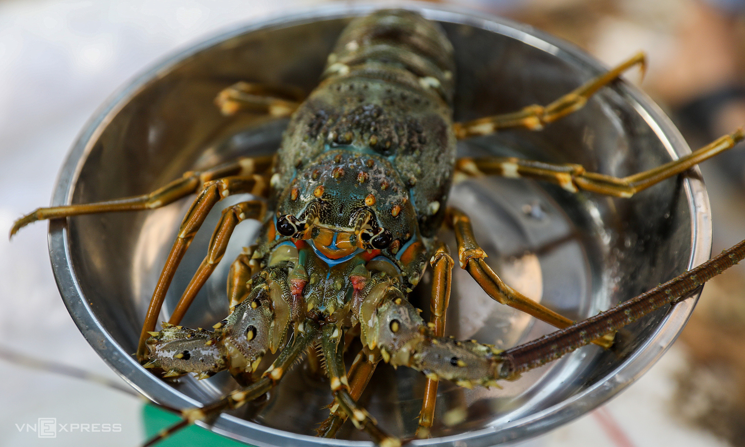 China boosts purchases, seafood exports surpass 4,6 billion USD