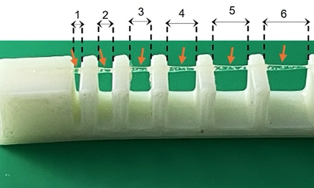 Human skin 'printed' in Vietnamese laboratory