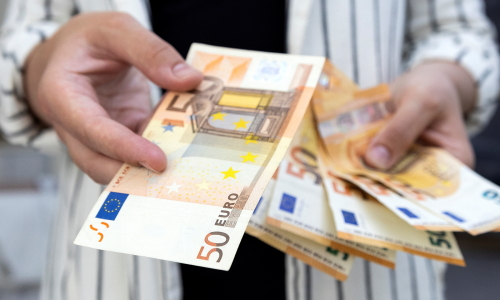 Germany puzzled over handling billions of 'forgotten' euros