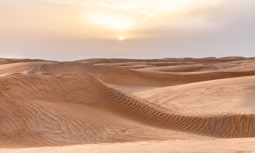49 die of thirst in Sahara desert