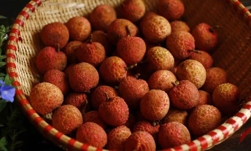 Does eating too much lychee harm kidneys?