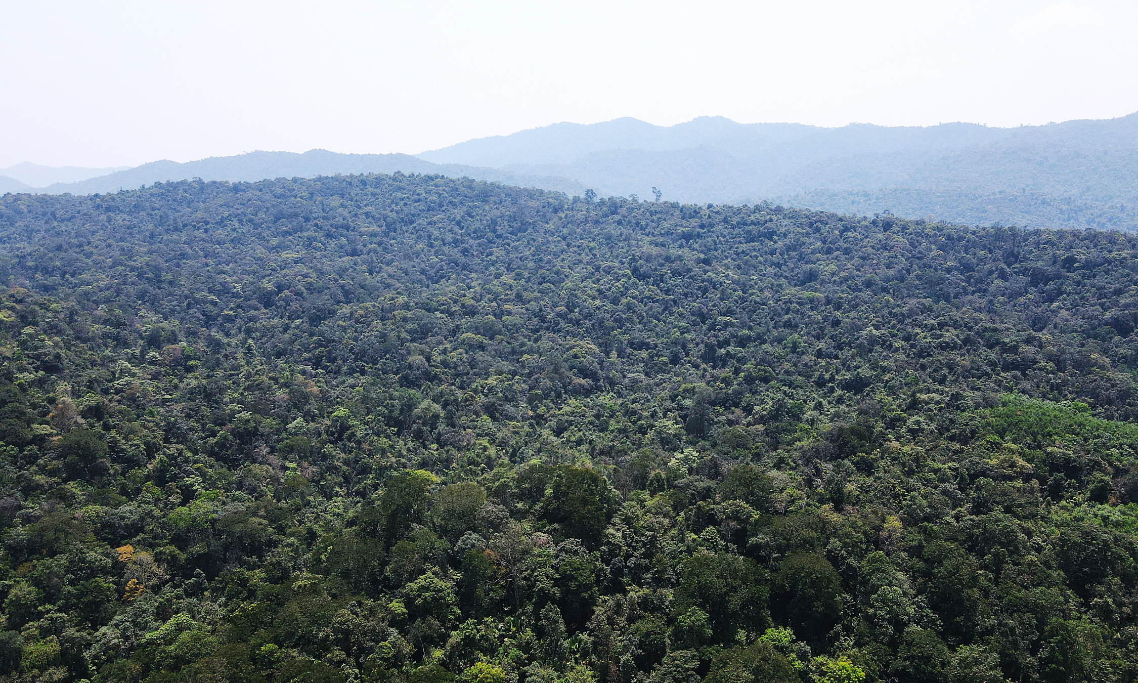 Carbon exchange expected to be piloted in june