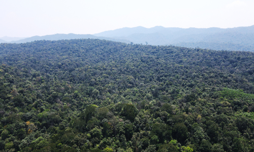 Carbon exchange expected to be piloted in june