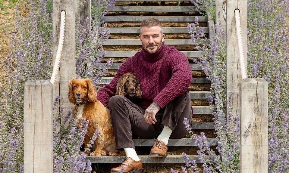 The quiet luxury style of billionaire David Beckham