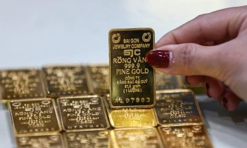 Gold bar prices near VND 150 million mark