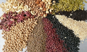Doctor recommends five types of beans beneficial for eyes