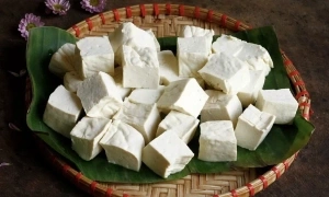 Should cancer patients avoid eating soy?
