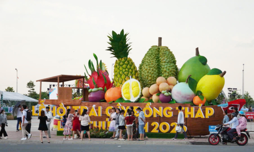 Thousands flock to Dong Thap's inaugural fruit festival